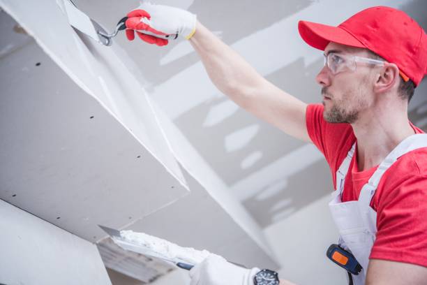 Best Mold Documentation for Insurance Claims  in Henderson, KY